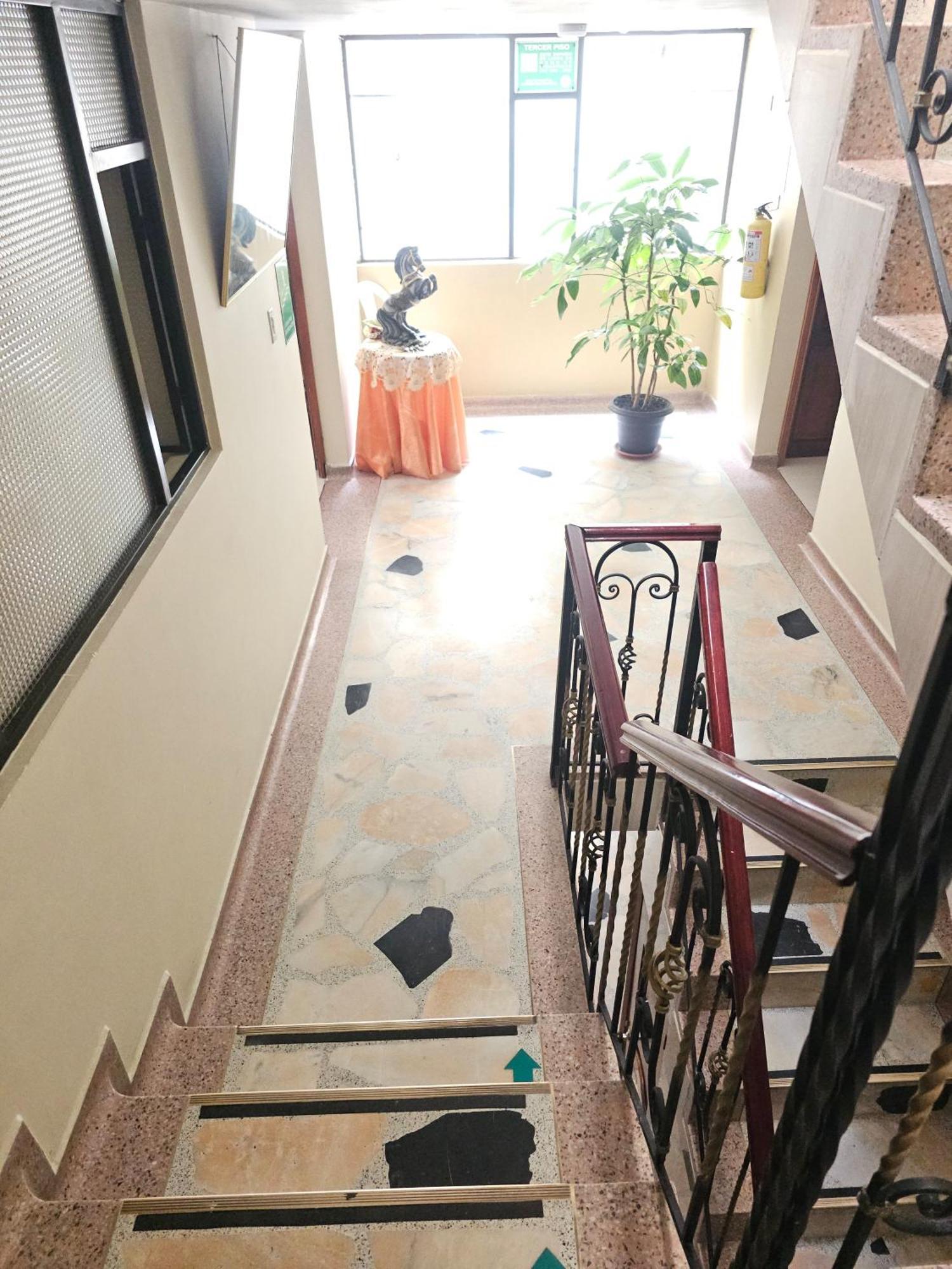 Hotel Monaco Pasto Extérieur photo
